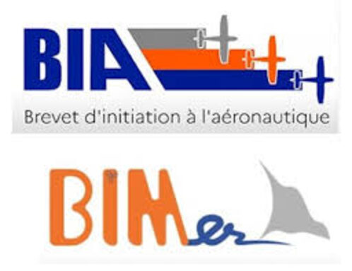 BIA BIMer.jpg