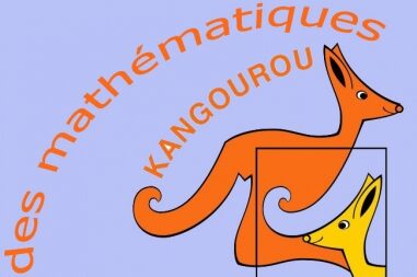 Concours kangourou.jpg